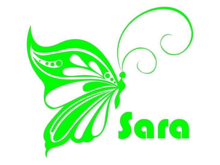 baby-aan-boordsticker vlinder sierlijk