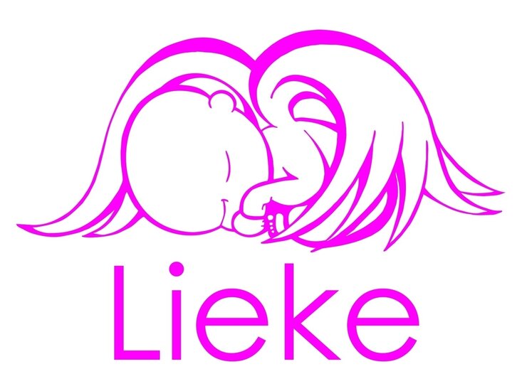 baby-aan-boordsticker engeltje